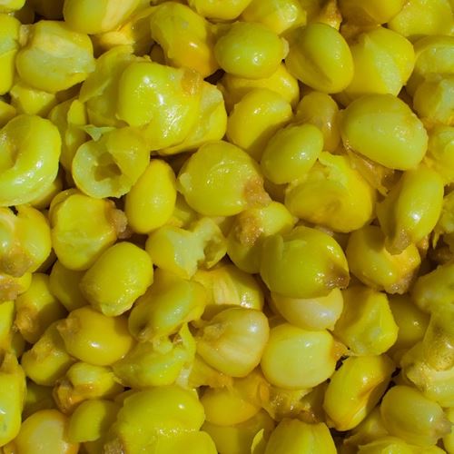 LK Baits Partikel IQ Method Feeder Mega Corn 1kg