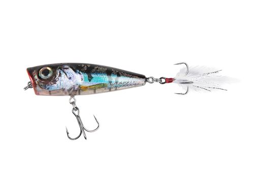 Salmo Wobler Rattlin Pop 7cm