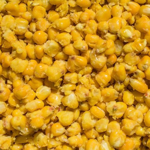 LK Baits Partikel IQ Method Feeder Corn 1kg