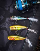 Salmo Wobler Rattlin Pop 7cm (8)