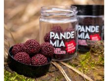 Chytil Boilies Pandemia 100g 20mm 2S/Scopex Squid (10)