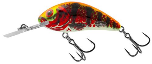 Salmo Wobler Rattlin' Hornet 4,5cm Holo Red Perch