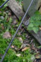Nash Olovo Super Flat Pear In Line Lead (1)
