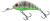Salmo Wobler Rattlin' Hornet 5,5cm Ghost Perch