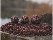 Chytil Boilies Pandemia 100g 16mm (5)